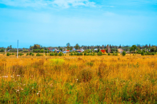 КП «Аисты»