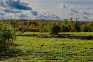 КП «Панорамный»