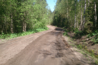 Дорога к КП «Журавки» (29.05.15)