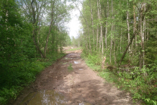 Дорога к КП «Журавки» (29.05.15)