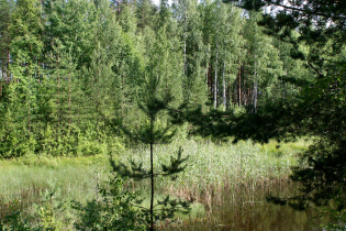 Фотографии поселка «Константиновка»