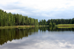 Фотографии поселка «Константиновка»