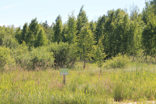 КП «Березовка» (02.07.15)