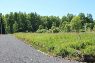 КП «Березовка» (02.07.15)