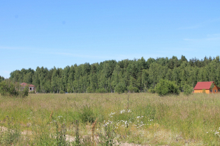 КП «Березовка» (02.07.15)