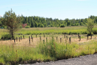 КП «Березовка» (02.07.15)