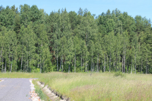 КП «Березовка» (02.07.15)