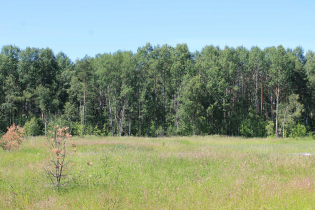 КП «Березовка» (02.07.15)