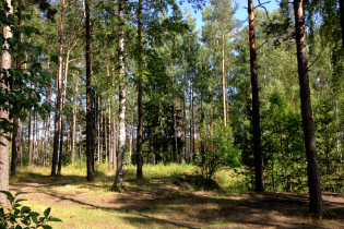 Фотографии поселка «Константиновка»