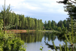 Фотографии поселка «Константиновка»
