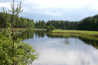 Фотографии поселка «Константиновка»