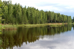 Фотографии поселка «Константиновка»