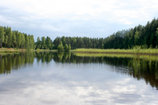 Фотографии поселка «Константиновка»