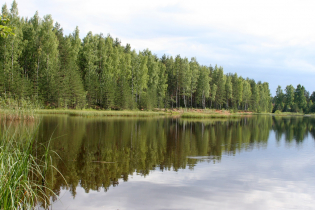 Фотографии поселка «Константиновка»