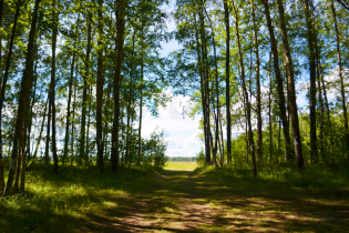 КП «Suvantojärvi»