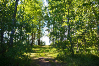 КП «Suvantojärvi»