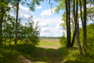 КП «Suvantojärvi»