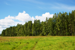 КП «Suvantojärvi»
