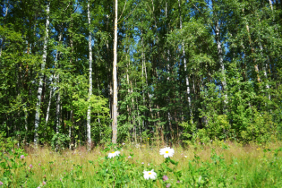 КП «Suvantojärvi»