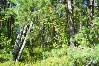 КП «Suvantojärvi»