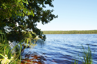 КП «Suvantojärvi»