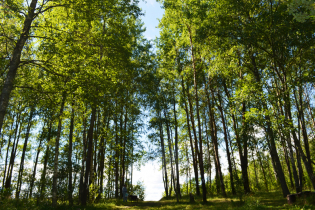 КП «Suvantojärvi»