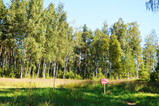 КП «Suvantojärvi»
