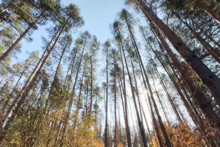 КП Lake Villas Club: ход строительства