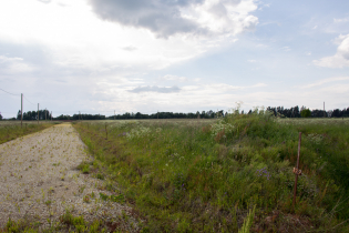 Фотографии поселка «Зяблики»