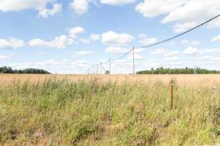 Фотографии поселка «Зяблики»