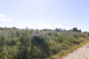 Фотографии поселка «Зяблики»