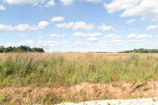 Фотографии поселка «Зяблики»