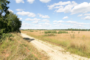 Фотографии поселка «Зяблики»