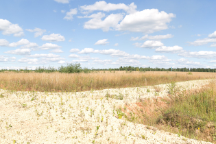 Фотографии поселка «Зяблики»