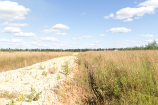 Фотографии поселка «Зяблики»