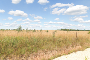 Фотографии поселка «Зяблики»