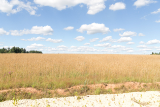 Фотографии поселка «Зяблики»