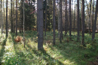 КП «МАЙнила (август 2012)