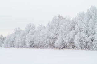 КП «Долина Уюта» (20.01.2016)