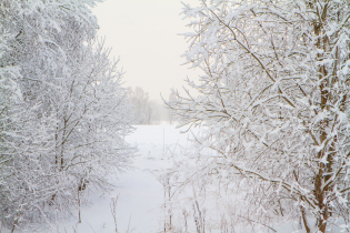 КП «Долина Уюта» (20.01.2016)