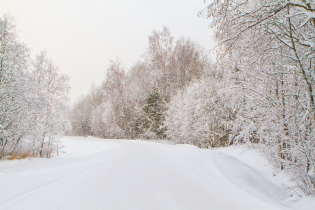 КП «Долина Уюта» (20.01.2016)