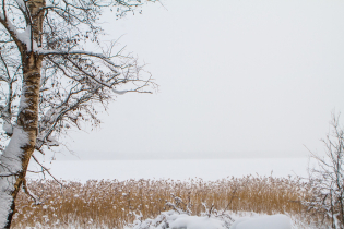 КП «Suvantojärvi»: ход строительства (15.01.16)