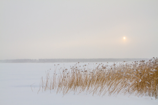 КП «Suvantojärvi»: ход строительства (15.01.16)