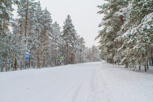 КП «Suvantojärvi»: рядом с посёлком (15.01.16)