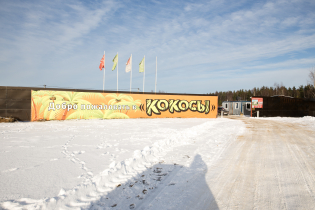 КП «Кокосы» (18.02.16)
