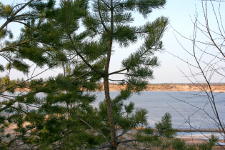 КП «Константиновка»