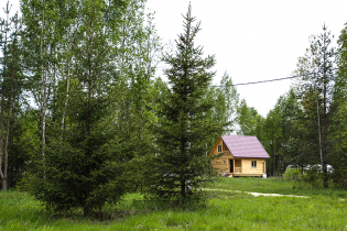 КП «Кокосы»