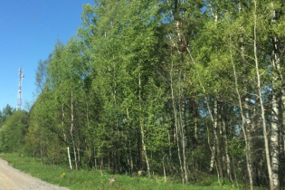 КП «Скандинавский парк»