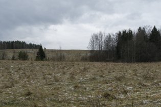 Фотографии поселка «Журавки»