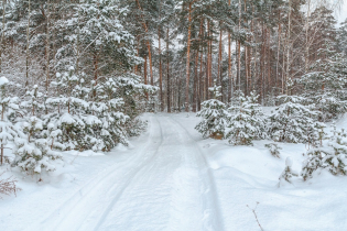 КП «Suvantojärvi»